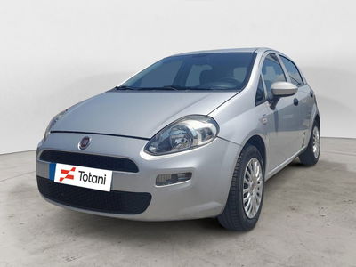 Fiat Punto 1.4 8V 5 porte Easypower Street del 2016 usata a L&#039;Aquila