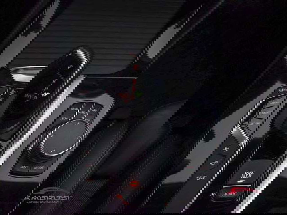 BMW X4 usata a Perugia (20)