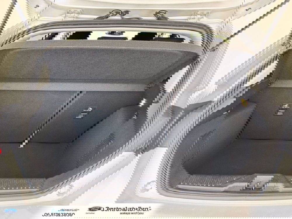 Ford Fiesta usata a Roma (11)