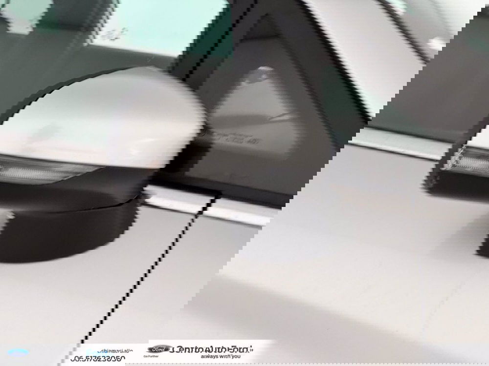 Ford Fiesta usata a Roma (15)