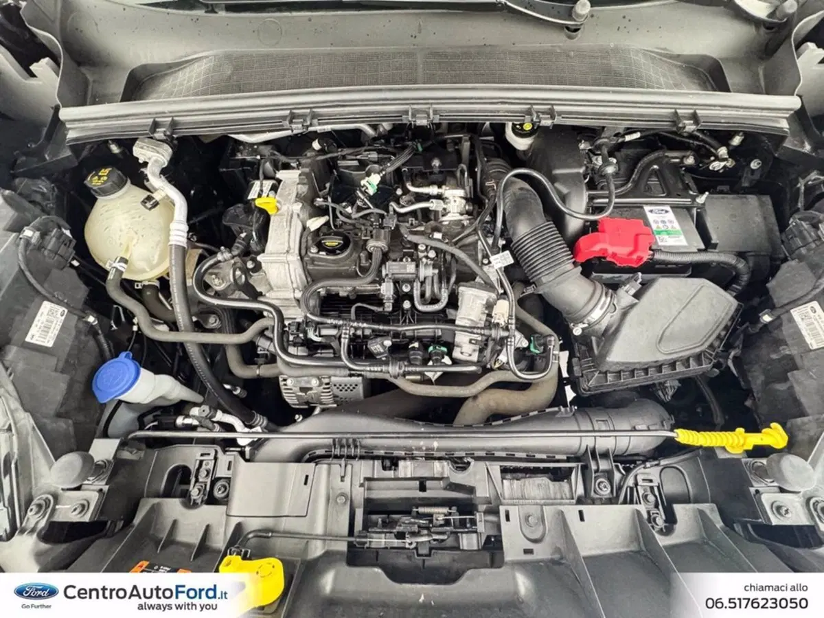 Ford Puma usata a Roma (11)