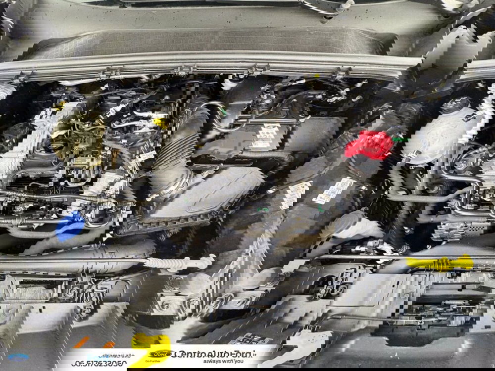 Ford Puma usata a Roma (12)