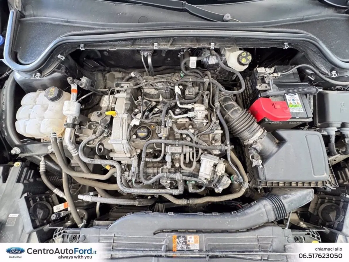 Ford Focus usata a Roma (12)
