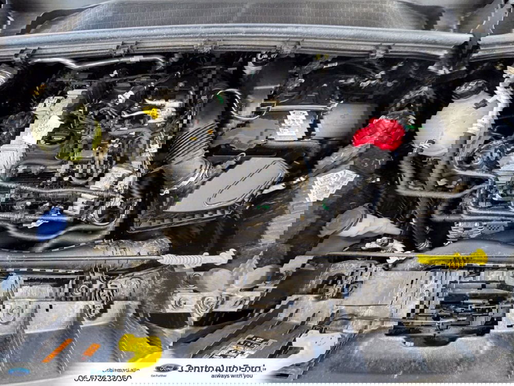 Ford Puma usata a Roma (12)