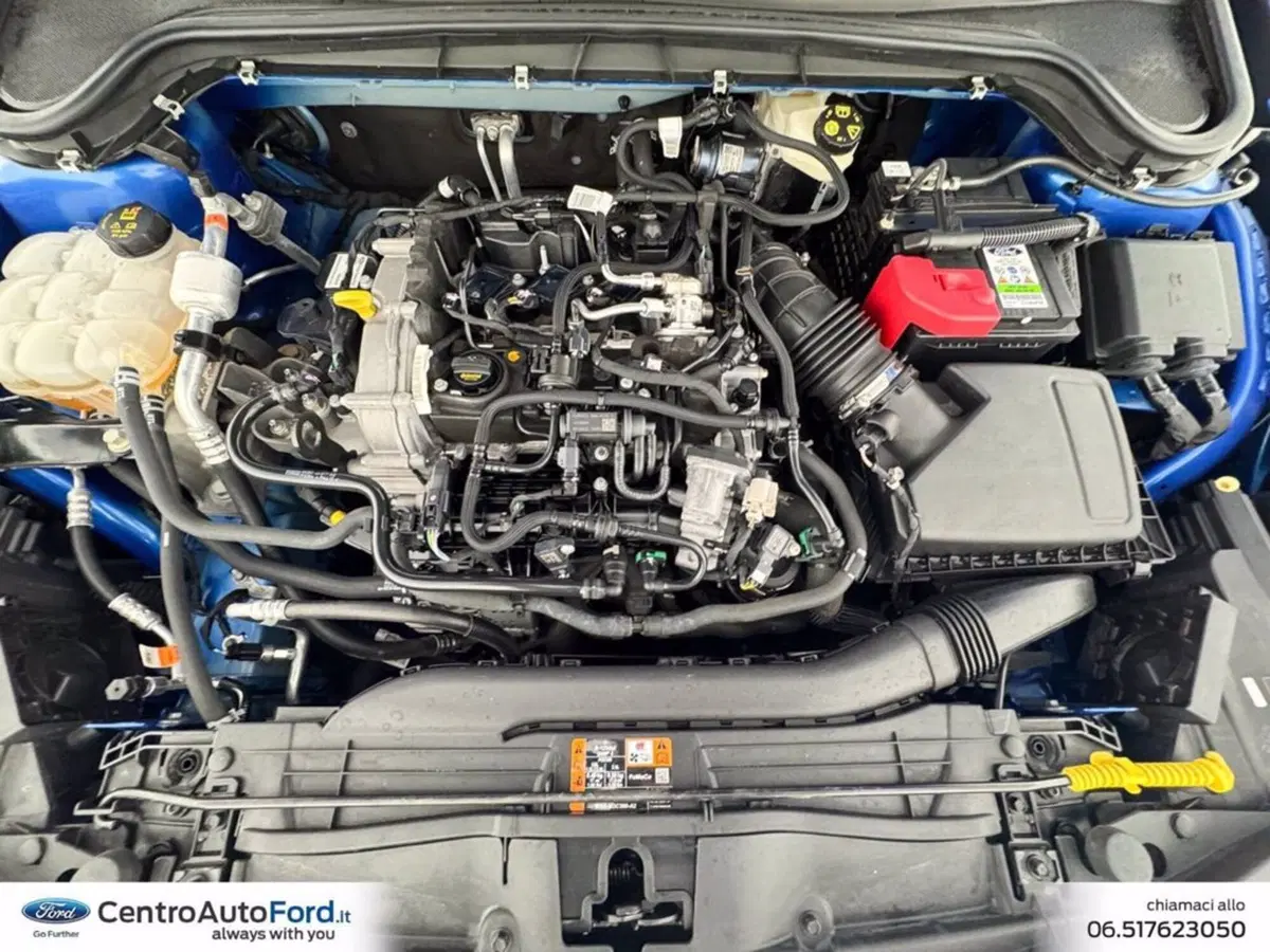 Ford Focus Station Wagon usata a Roma (11)