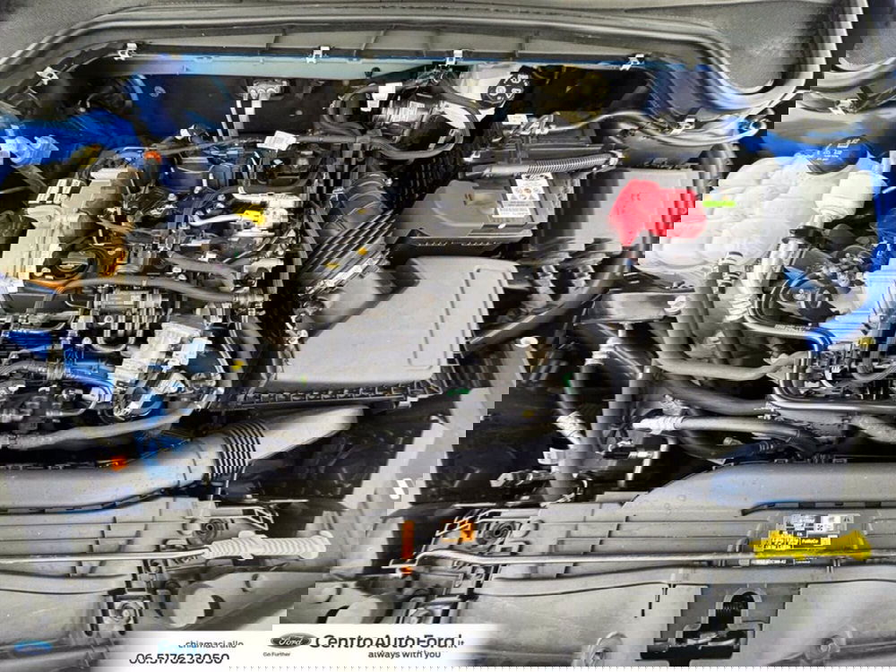 Ford Focus Station Wagon usata a Roma (12)