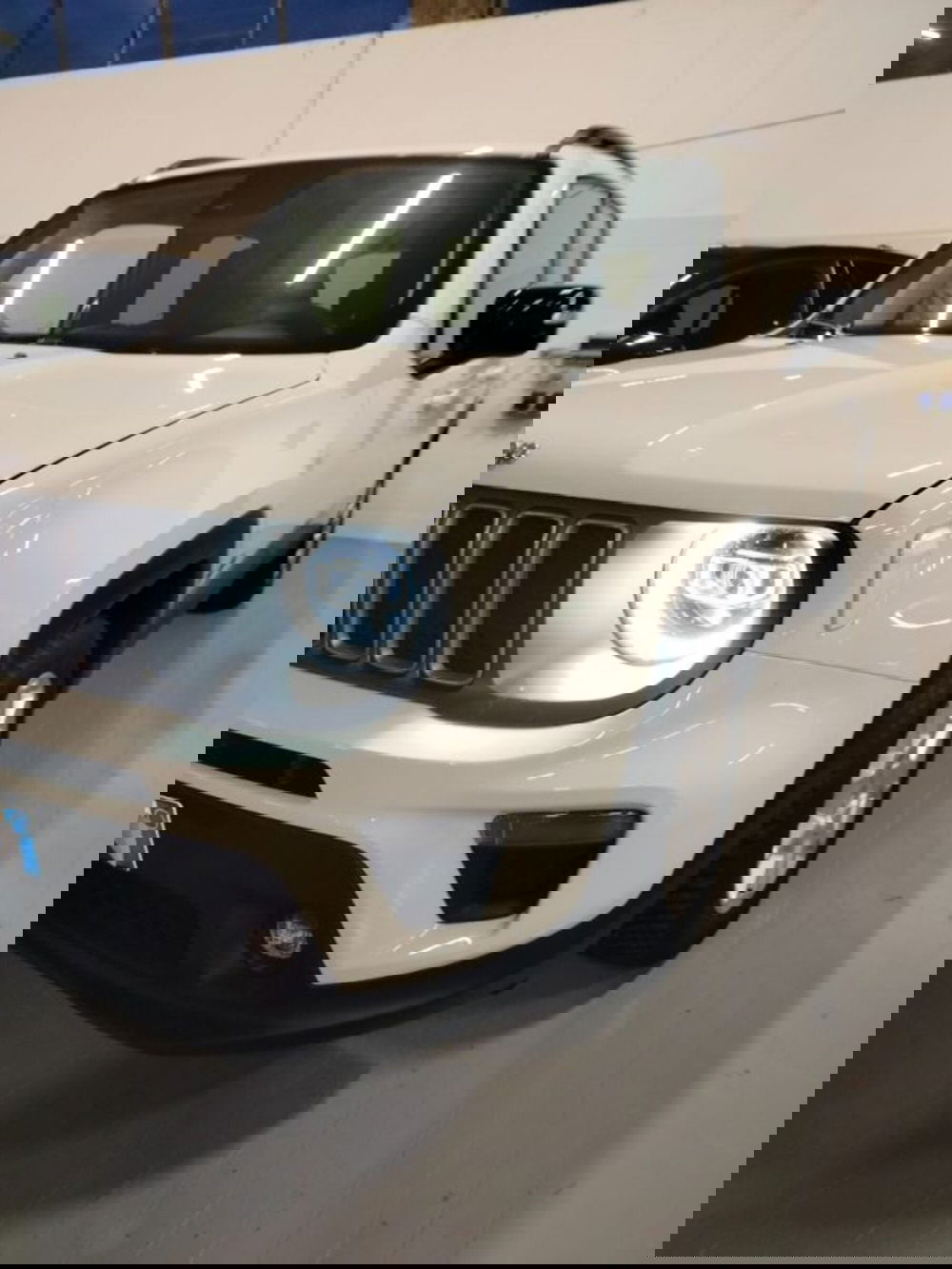 Jeep Renegade usata a Forlì-Cesena (11)