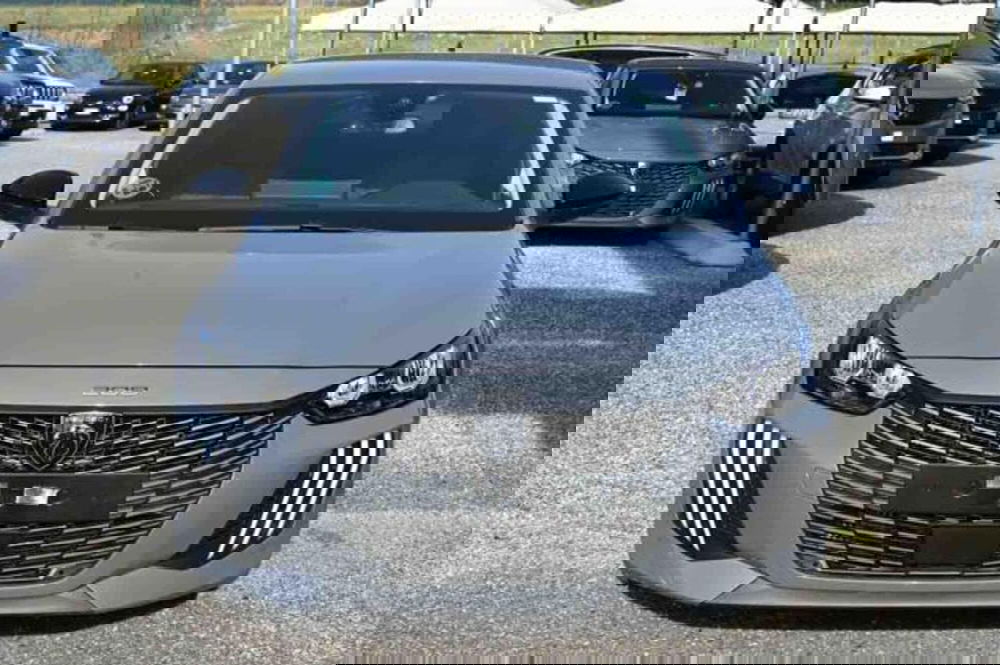 Peugeot 208 usata a Torino (2)