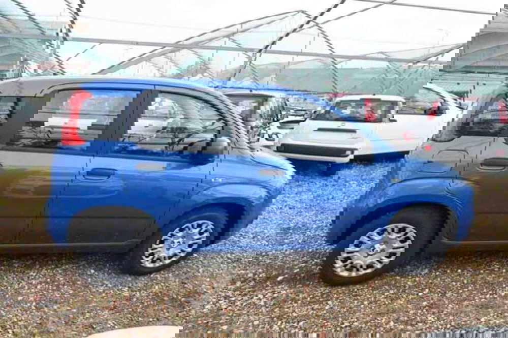 Fiat Panda nuova a Torino (4)