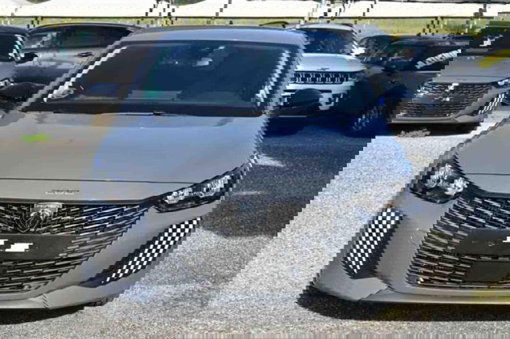 Peugeot 208 usata a Torino (2)