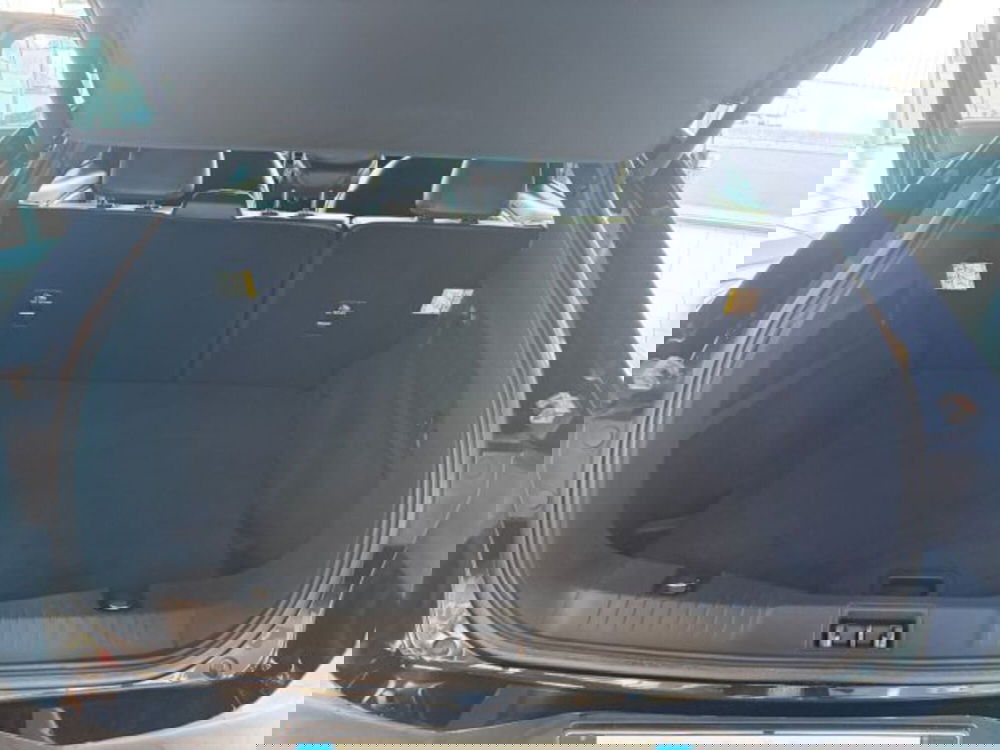 Ford Mustang Mach-E usata a Cuneo (14)