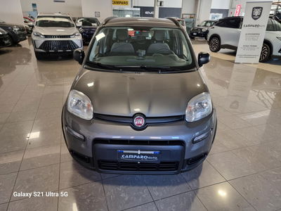 Fiat Panda 1.0 FireFly S&amp;S Hybrid City Life del 2022 usata a Acqui Terme