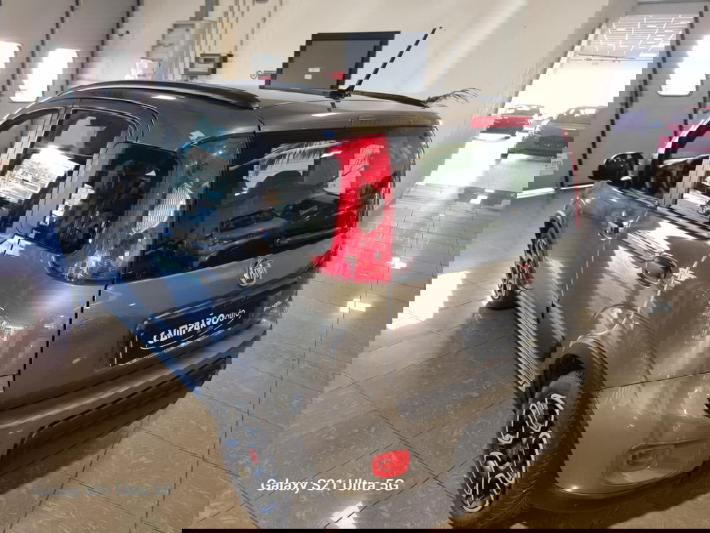 Fiat Panda usata a Alessandria (15)