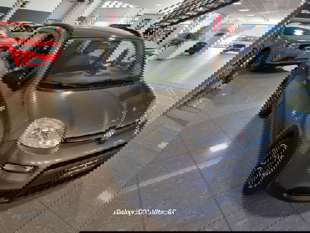 Fiat Panda usata a Alessandria (3)