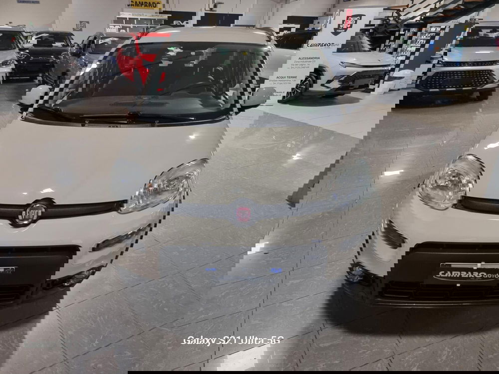 Fiat Panda usata a Alessandria