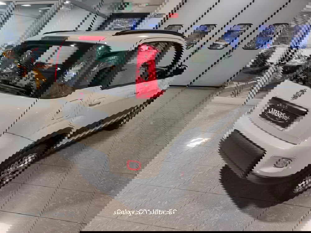 Fiat Panda usata a Alessandria (15)