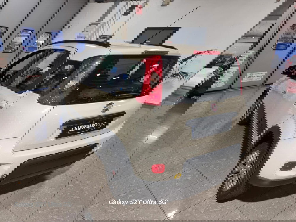 Fiat Panda usata a Alessandria (16)