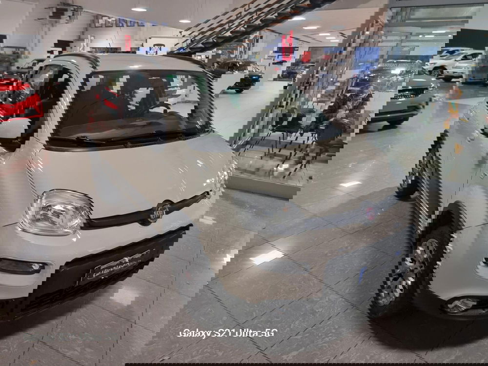 Fiat Panda usata a Alessandria (3)