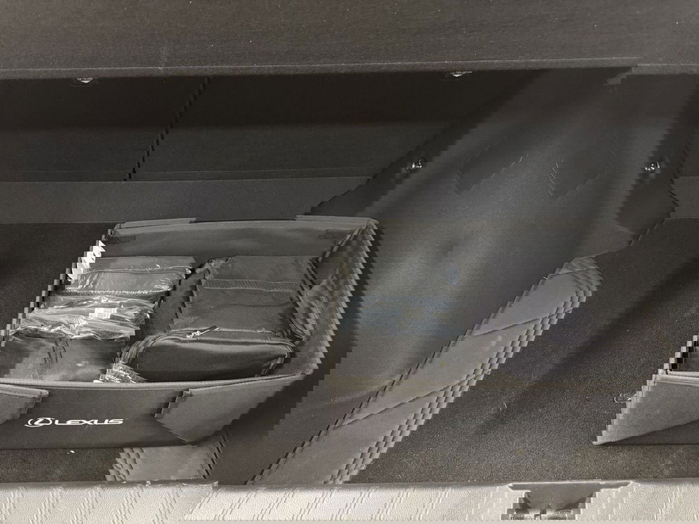 Lexus LBX usata a Como (11)