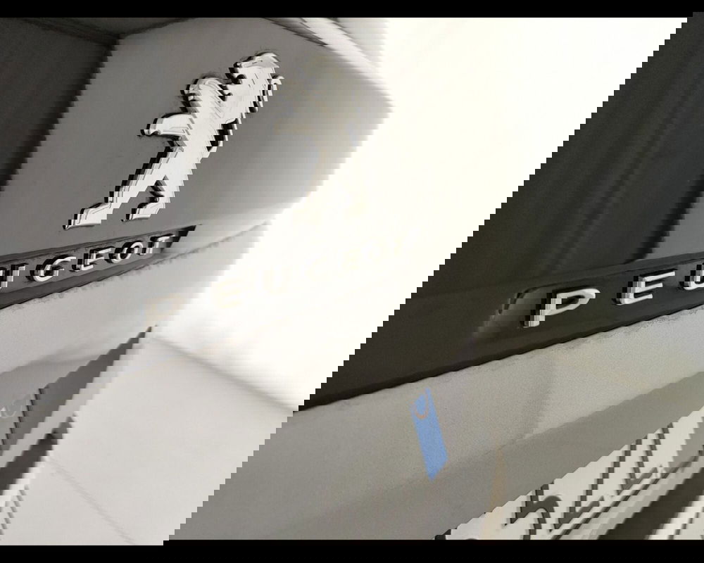 Peugeot 3008 usata a Caserta (13)