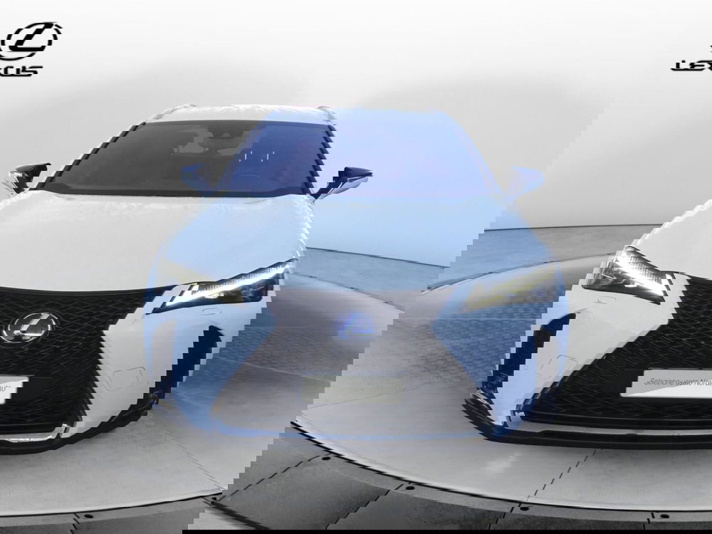 Lexus UX usata a Treviso (2)