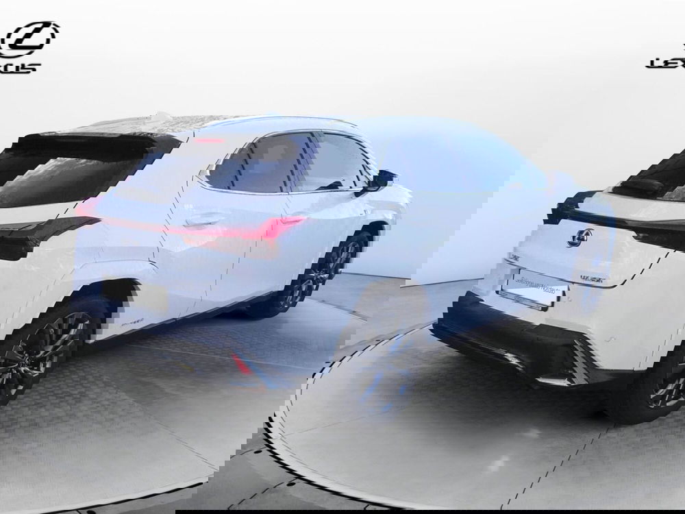 Lexus UX usata a Treviso (5)