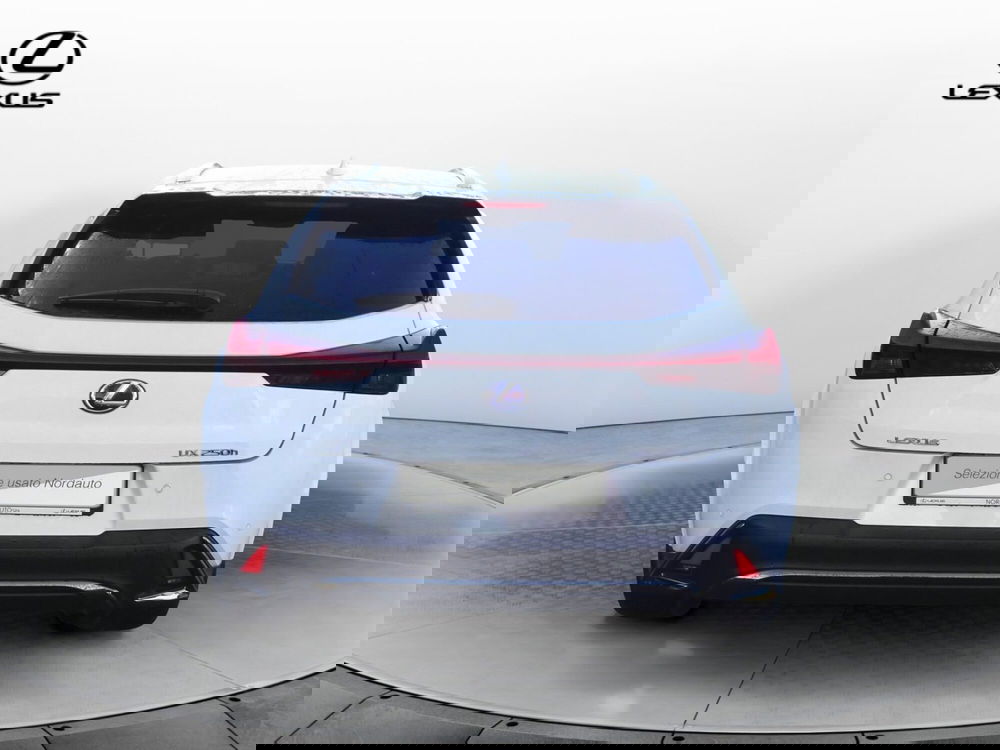 Lexus UX usata a Treviso (6)