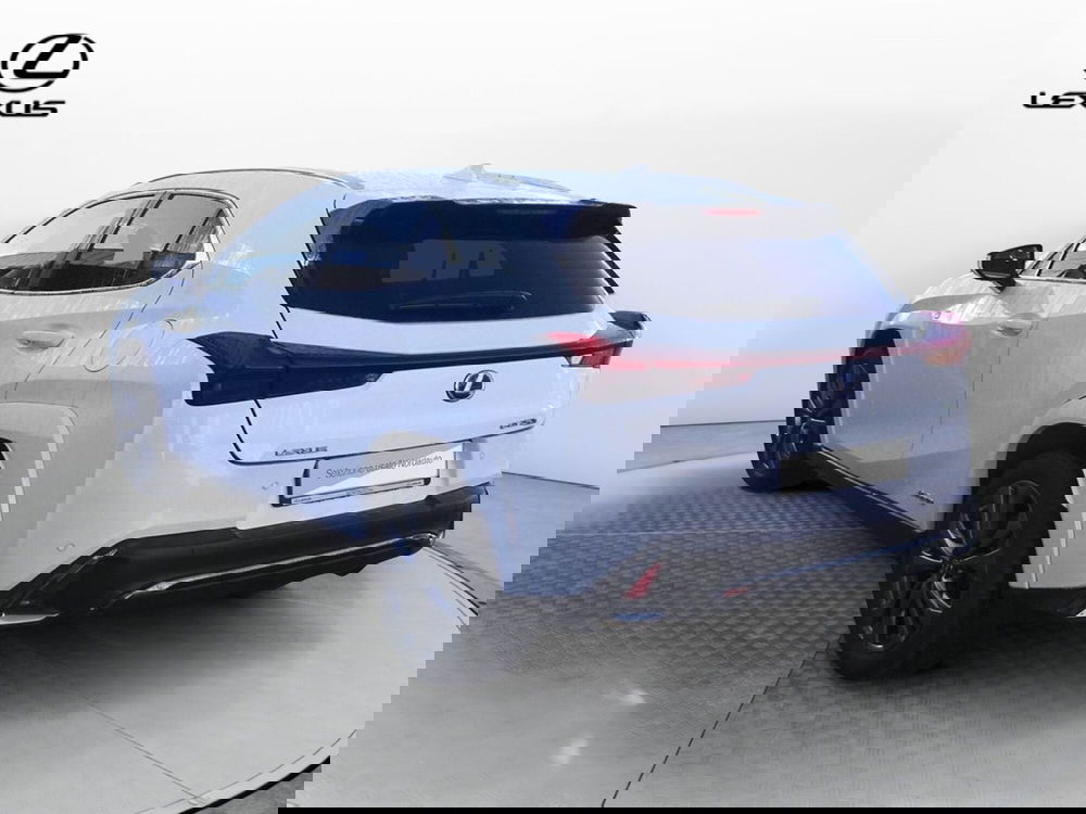 Lexus UX usata a Treviso (7)