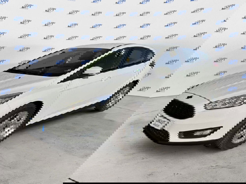 Ford Focus usata a Pistoia