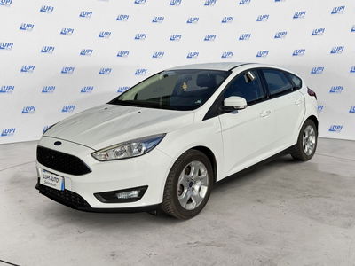 Ford Focus 1.5 TDCi 95 CV Start&amp;Stop Plus del 2018 usata a Serravalle Pistoiese