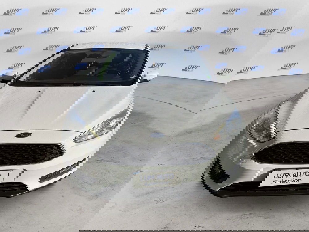 Ford Focus usata a Pistoia (2)