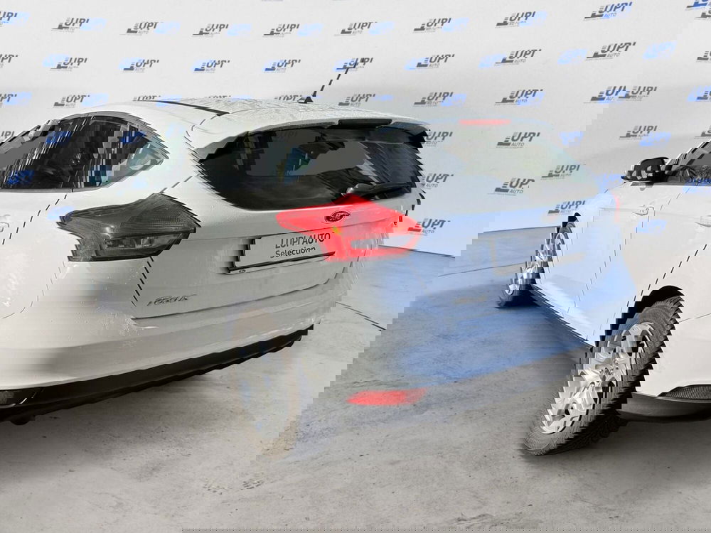 Ford Focus usata a Pistoia (5)