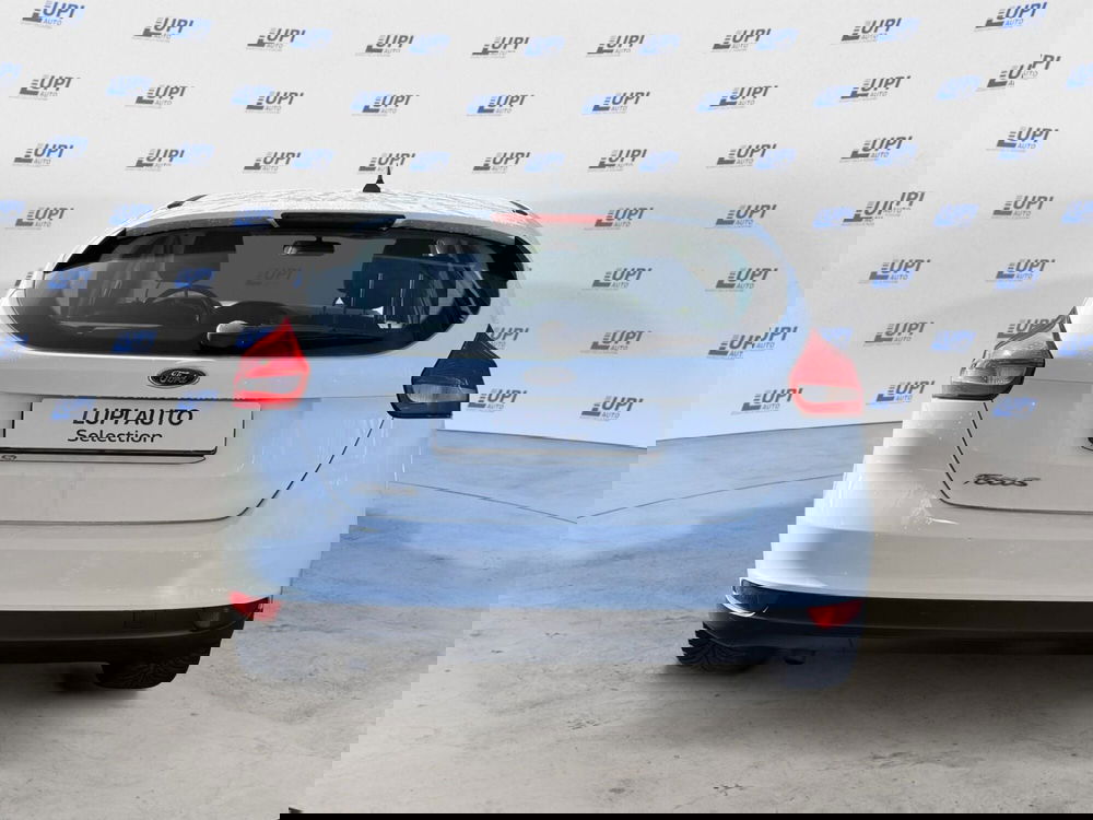 Ford Focus usata a Pistoia (6)