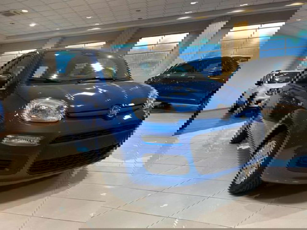 Fiat Panda nuova a Vercelli