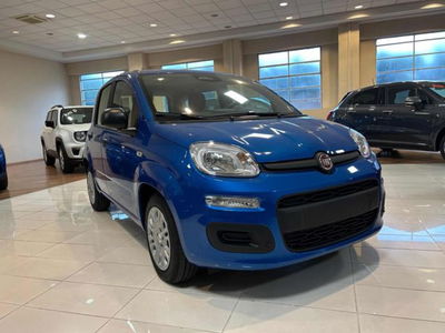 Fiat Panda 1.0 firefly hybrid s&amp;s 70cv 5p.ti nuova a Vercelli