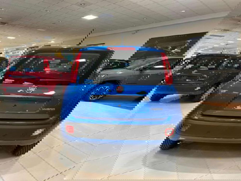 Fiat Panda nuova a Vercelli (12)