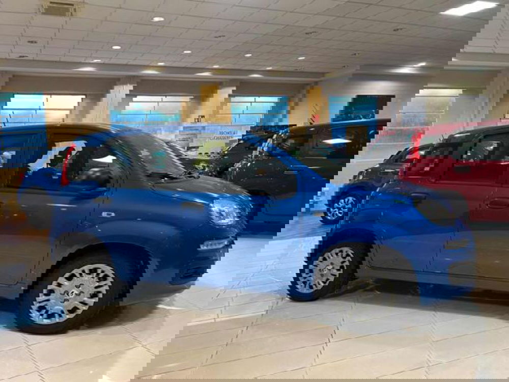 Fiat Panda nuova a Vercelli (13)