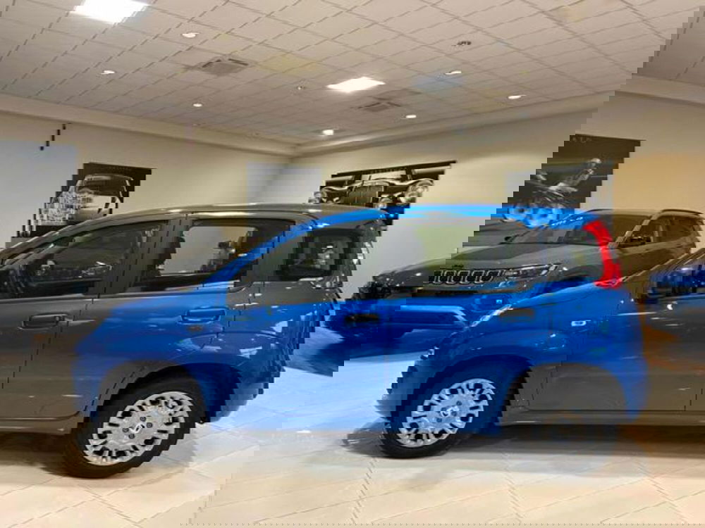 Fiat Panda nuova a Vercelli (3)