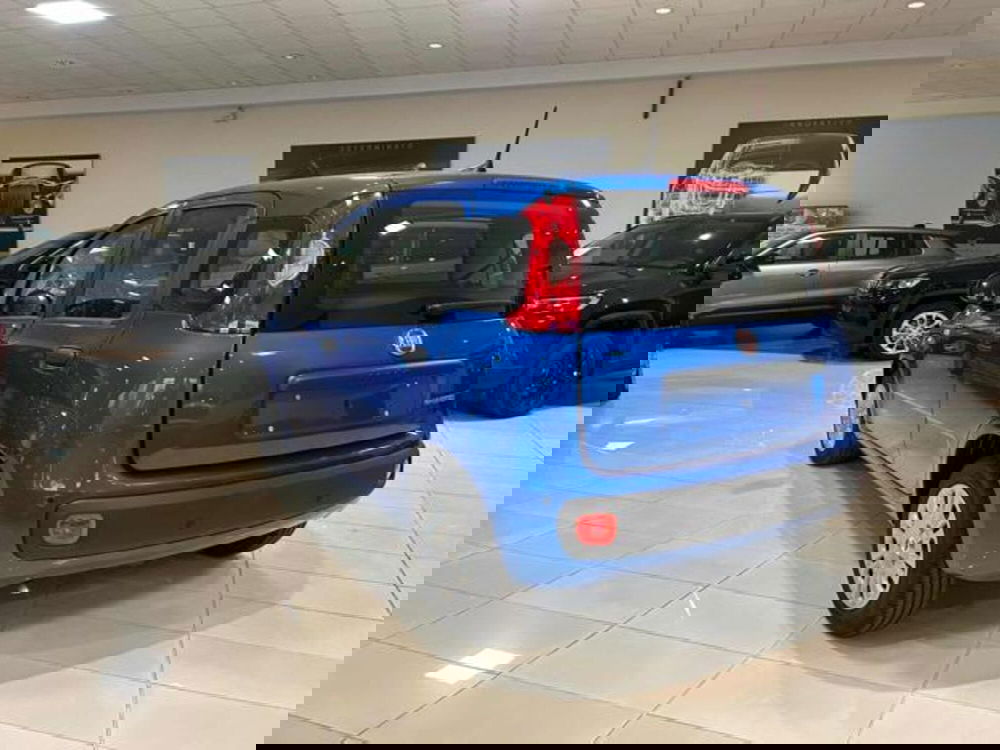 Fiat Panda nuova a Vercelli (4)