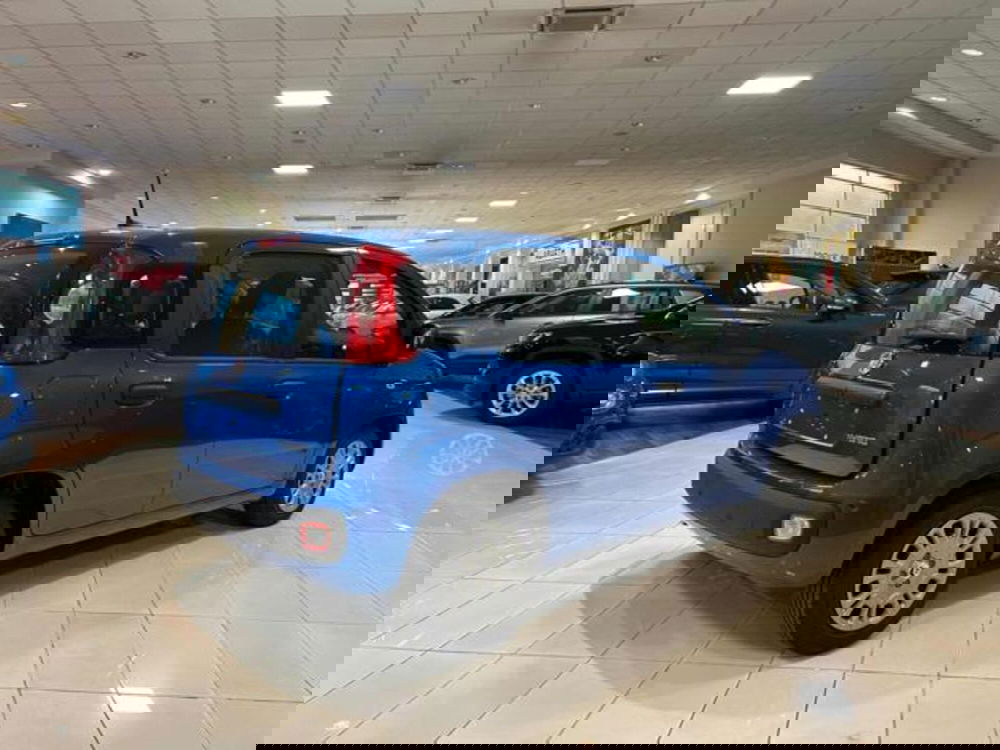 Fiat Panda nuova a Vercelli (5)