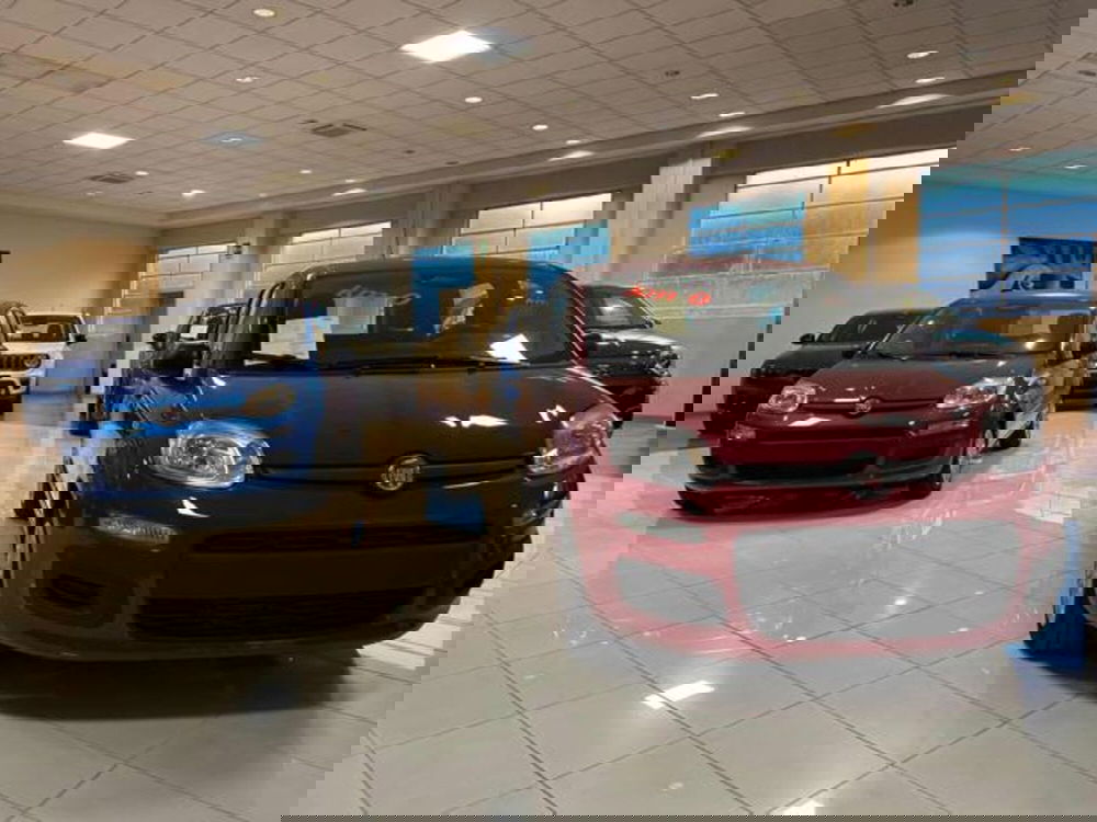 Fiat Panda nuova a Vercelli (6)