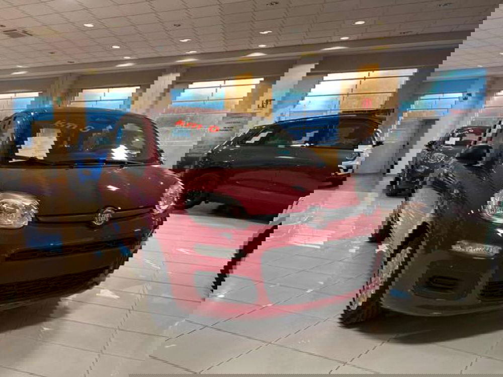Fiat Panda nuova a Vercelli (7)