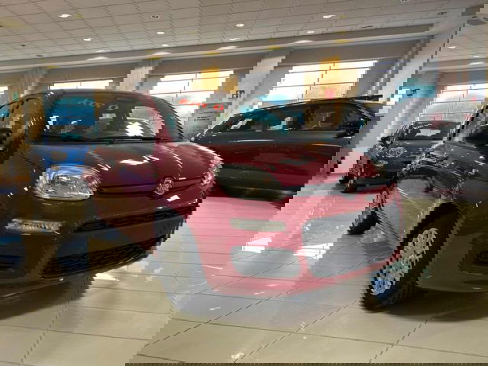 Fiat Panda nuova a Vercelli