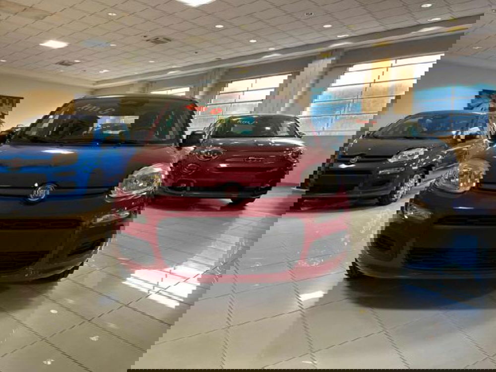 Fiat Panda nuova a Vercelli (3)