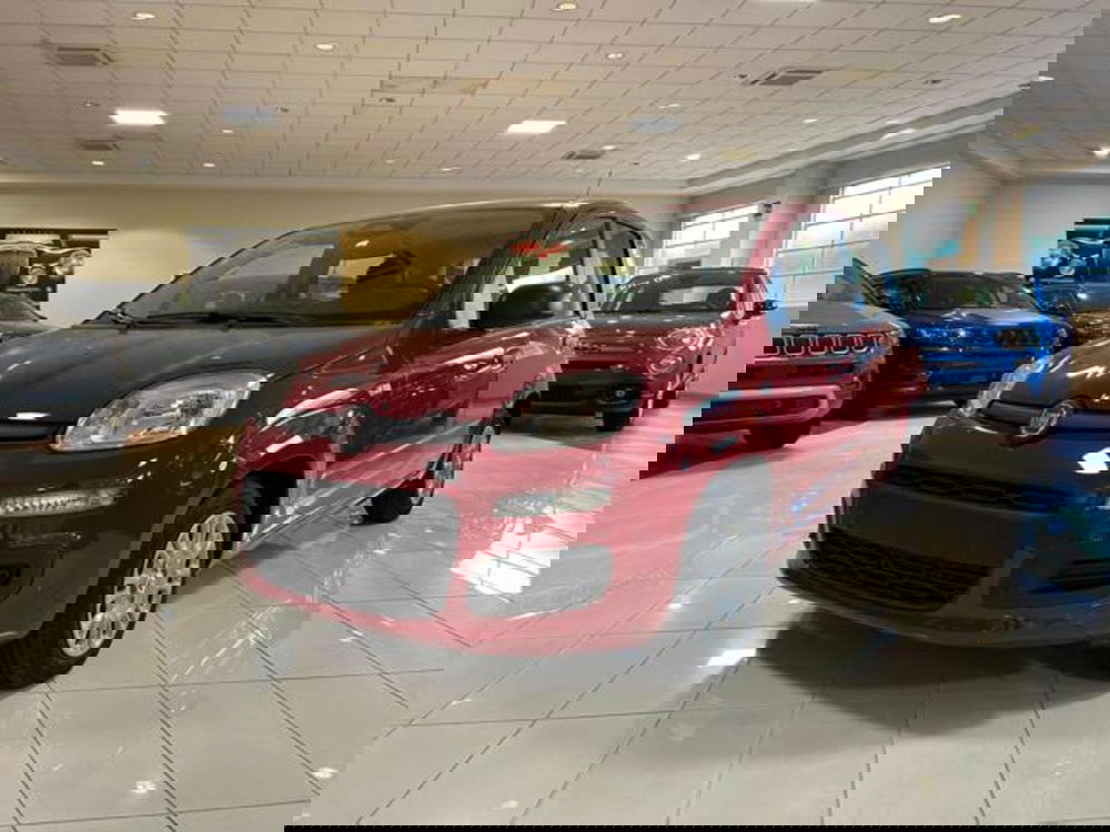 Fiat Panda nuova a Vercelli (2)