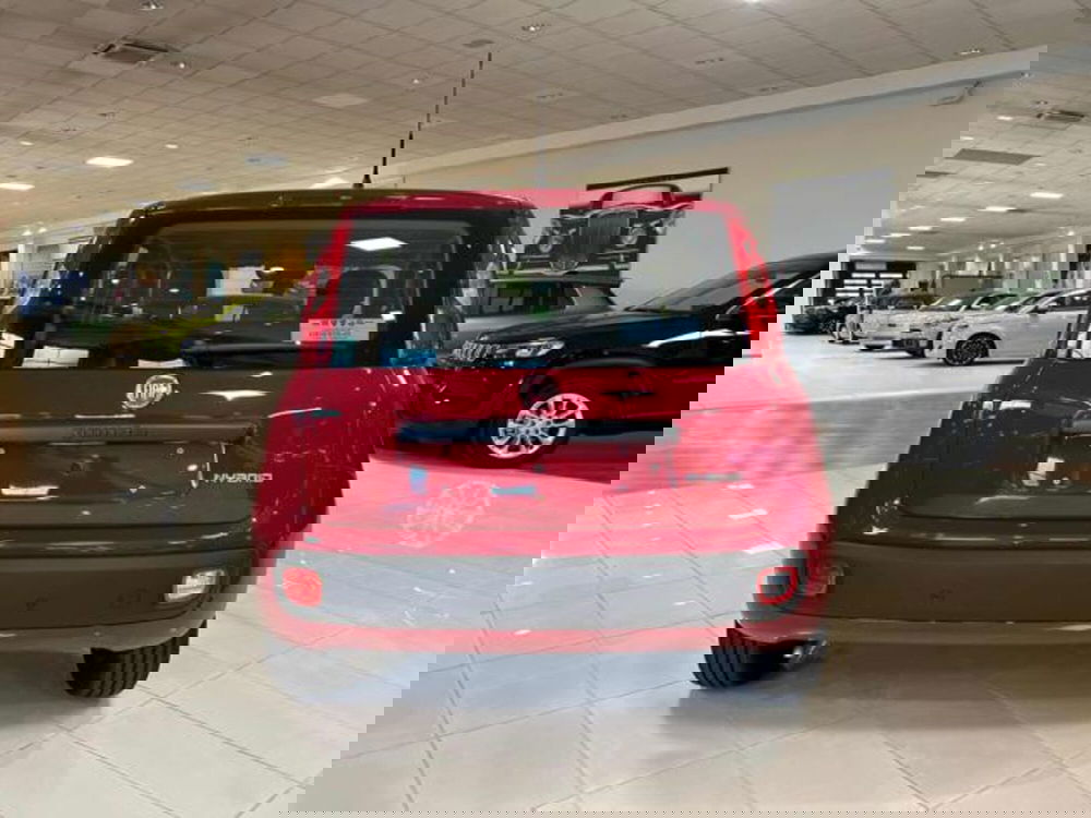 Fiat Panda nuova a Vercelli (5)