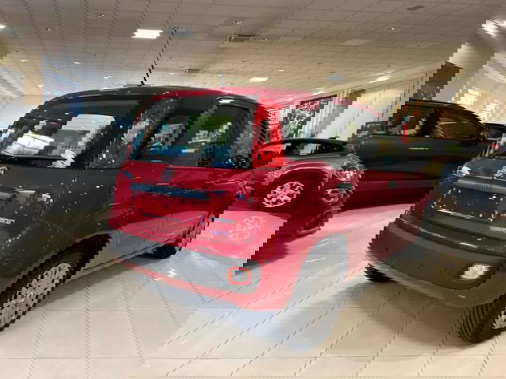 Fiat Panda nuova a Vercelli (6)