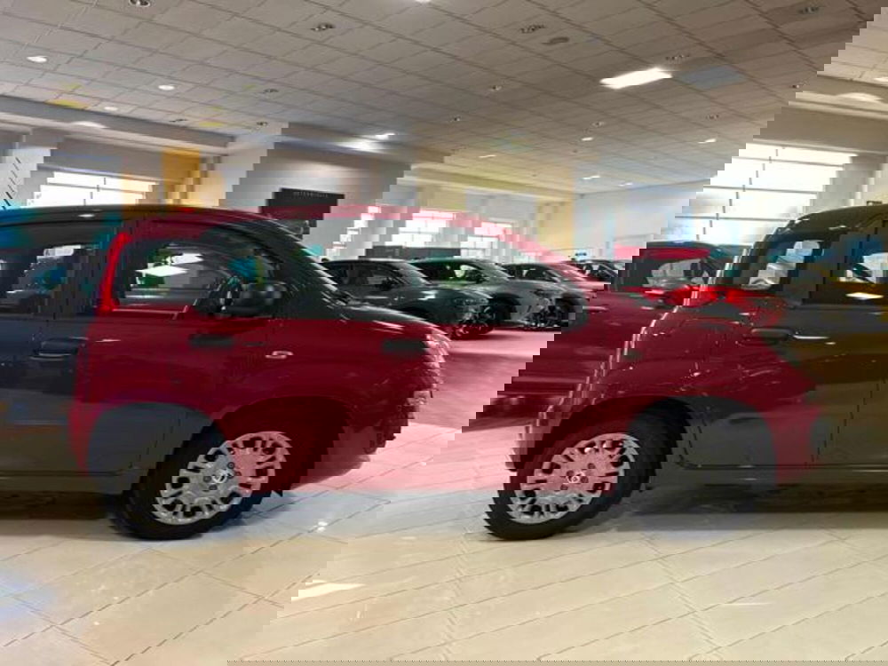 Fiat Panda nuova a Vercelli (7)