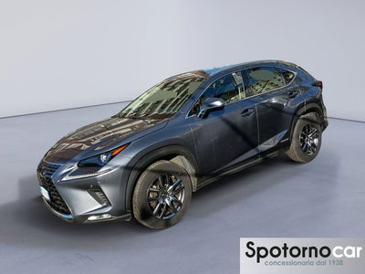 Lexus NX Hybrid 4WD Business del 2020 usata a Sesto San Giovanni