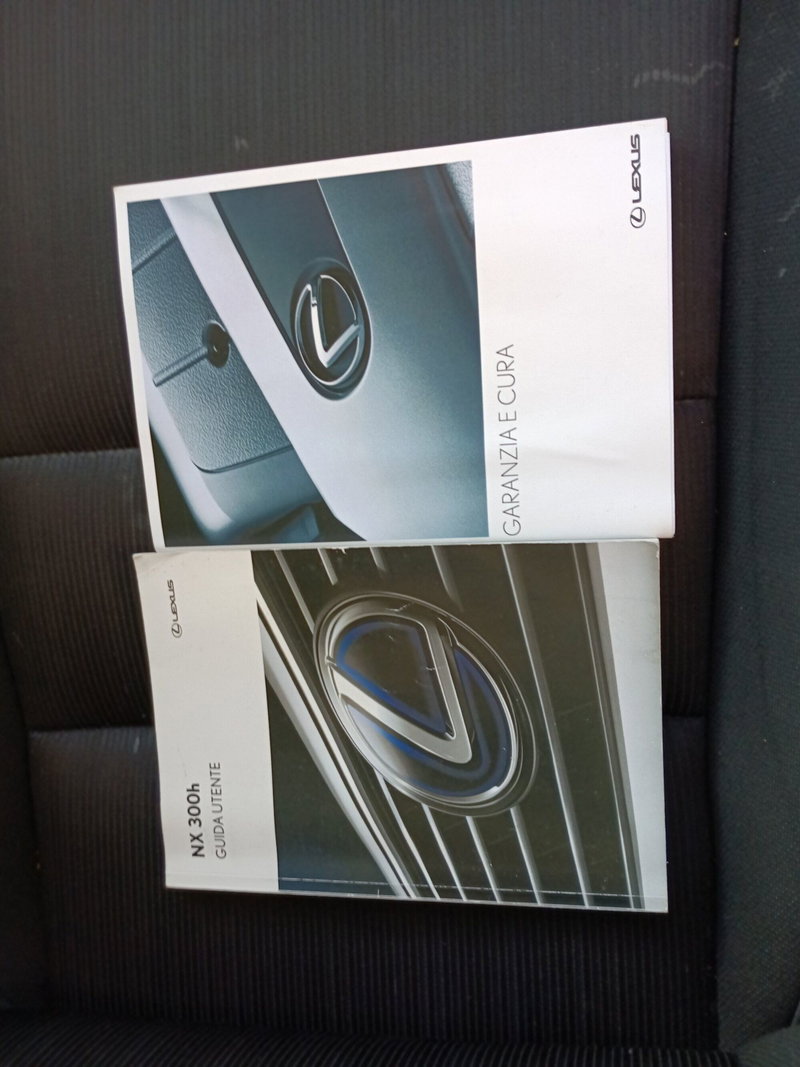 Lexus NX usata a Milano (19)